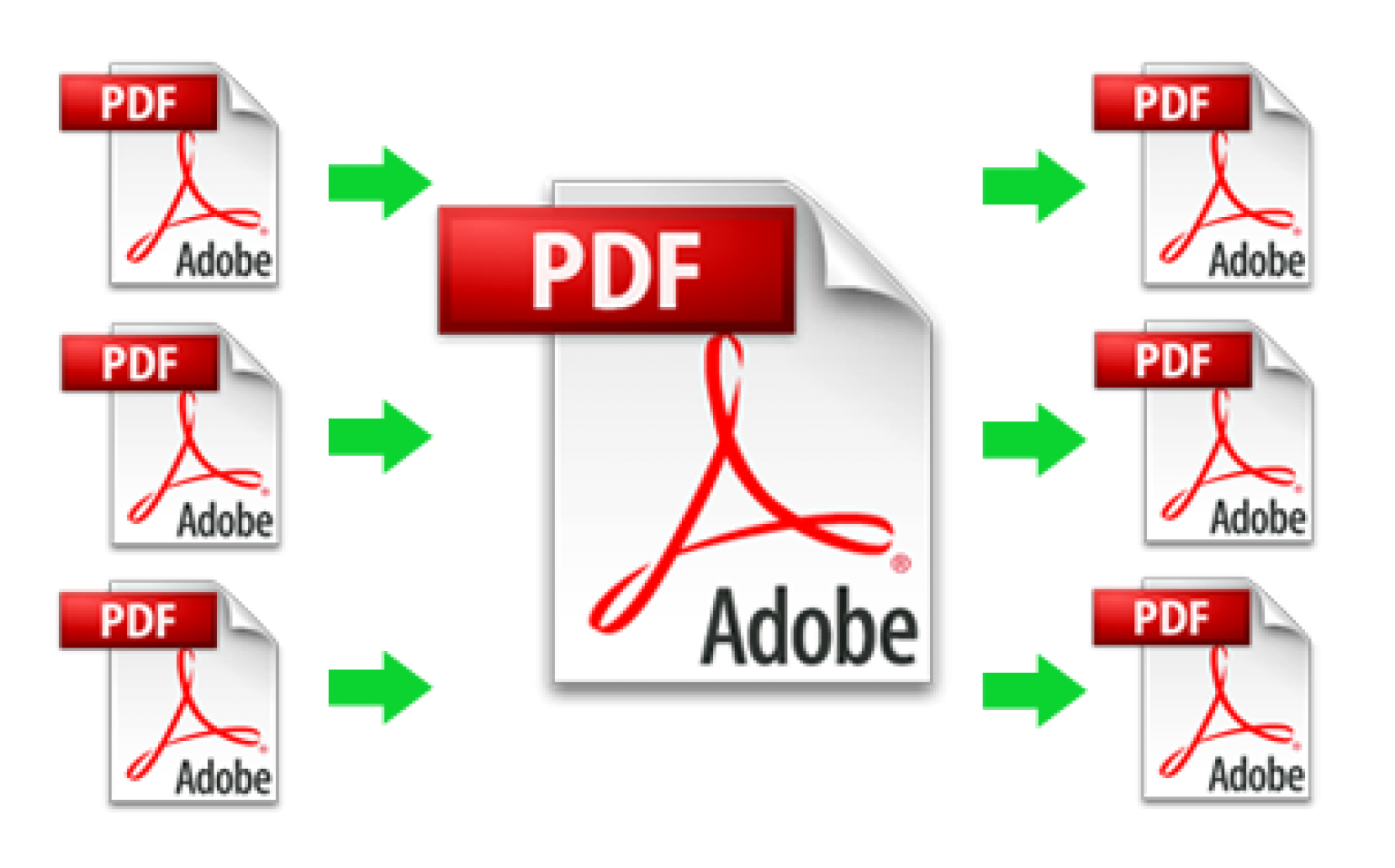 Pdf scripting. Pdf. Adobe pdf. Pdf исходники. Pdf file.