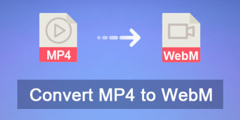 mp4 to webm converter