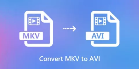 convert MKV to AVI