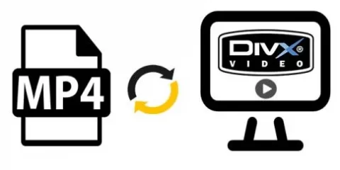 convert mp4 to divx