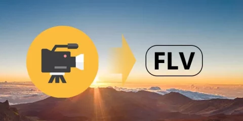 flv-converter
